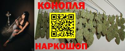 хмурый Будённовск