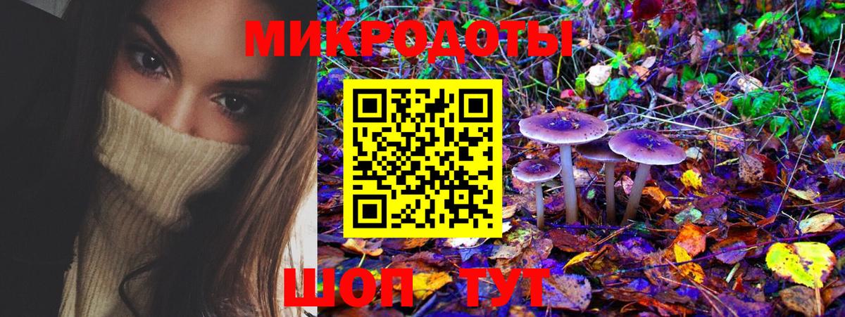 Галлюциногенные грибы мицелий Щёкино