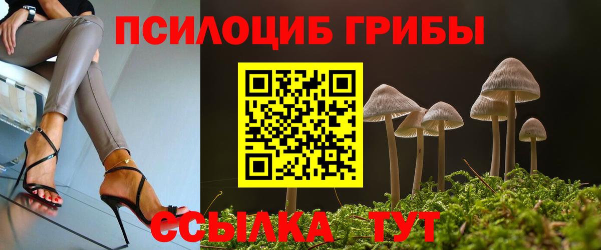 наркошоп  Вход с VPN  Щёкино  Галлюциногенные грибы прущие грибы 