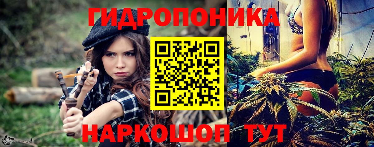Конопля семена Щёкино